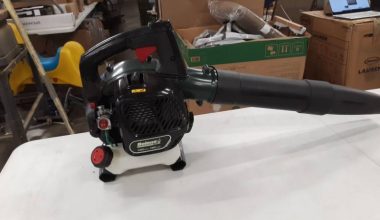 BOLENS BL125