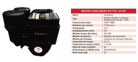 CATTINI RI177N 3