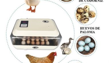Incubadora 24 huevos  1
