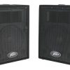 Peavey Pvi-10