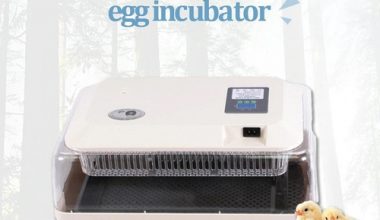 incubadora 24 huevos