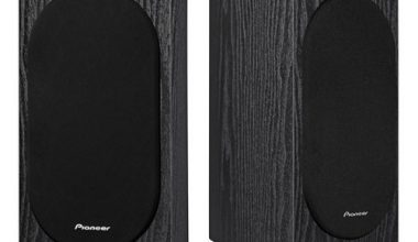 PIONEER SP-BS22-LR 1