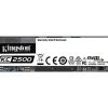 Kingston SKC2500M8/500G
