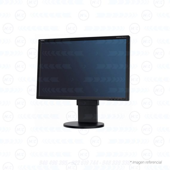 NEC Multisync EA221WM 2