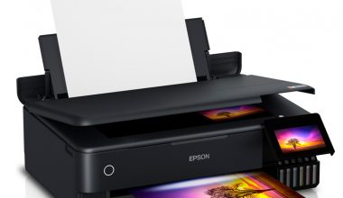 Epson C11CJ21303