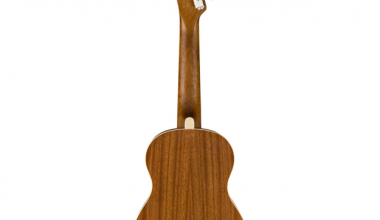 fender fender