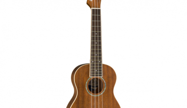 fender fender