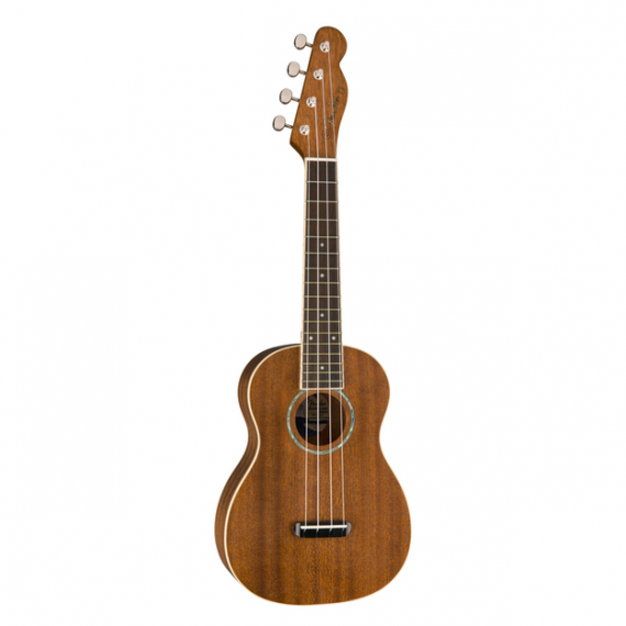 fender fender 2