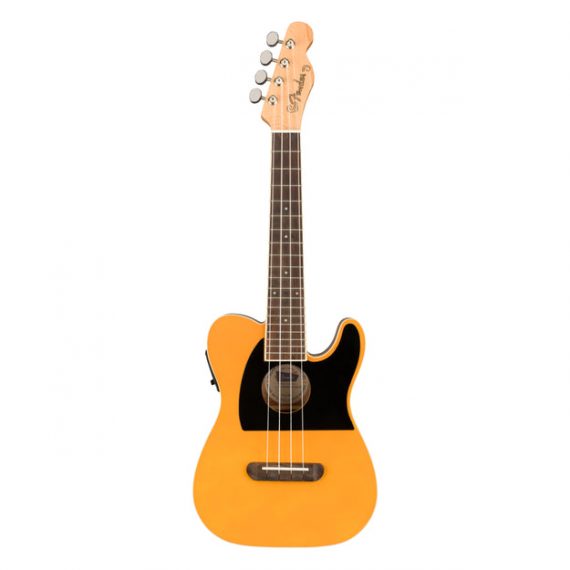 fender fender 2