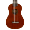 fender fender