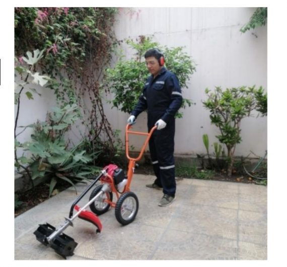 TIGRILLO GX-35 carretera 2