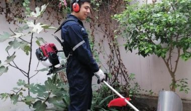 TIGRILLO GX-35 MOCHILA CON 8 1