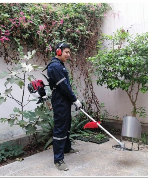 TIGRILLO GX-35 MOCHILA CON 8 1 TIGRILLO GX-35 MOCHILA CON 8