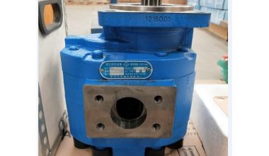 CHENG GONG 1117031138 1