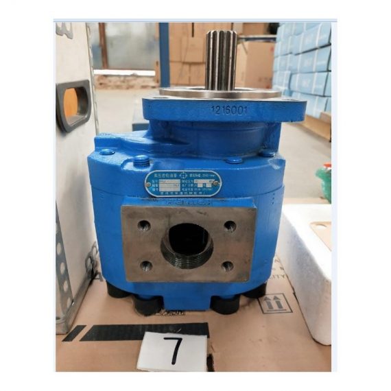 CHENG GONG 1117031138