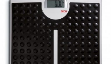 SECA 813 1