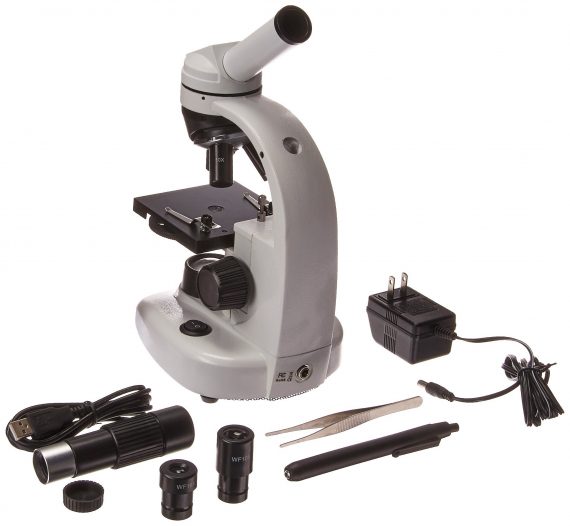 IOPTRON St-80 2