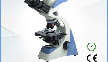 Sm-2010dm