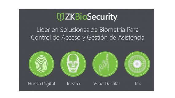 ZKTECO ZK-BS-VID-P32 3