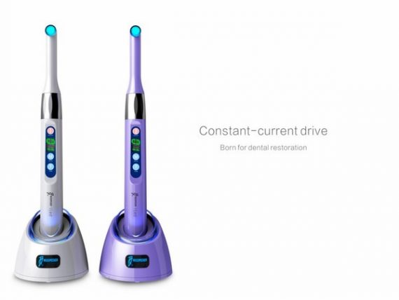 Woodpecker LED I 3