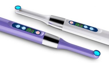 Woodpecker LED I