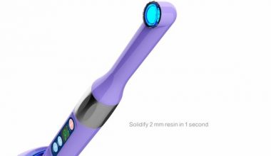 Woodpecker LED I