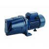 CATTINI JSW 10M