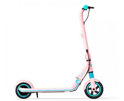 NINEBOT ZING E8