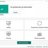 Kaspersky KL1171DDKFS