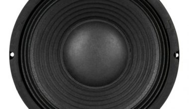 Dayton Audio PA255-8 1
