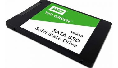 Western Digital WDS480G2G0A