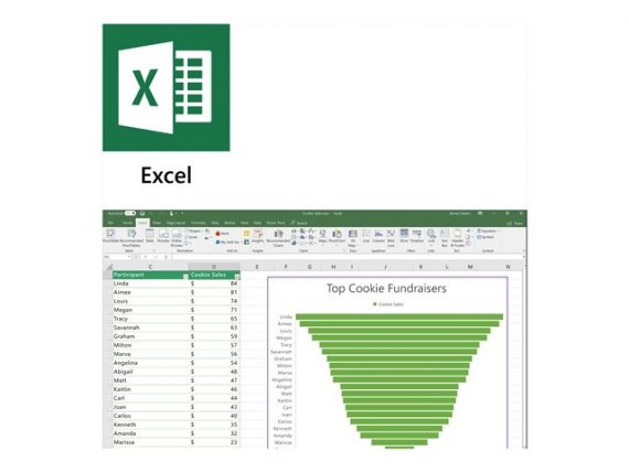 Microsoft 269-17067