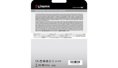 Kingston SKC2500M8/250G
