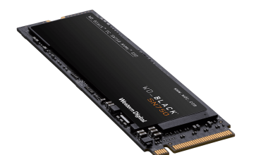 Western Digital WDS500G3X0C