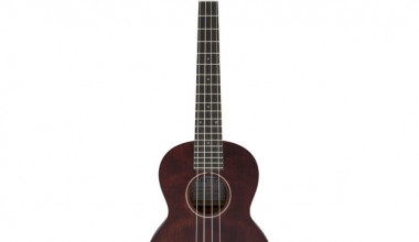 fender fender