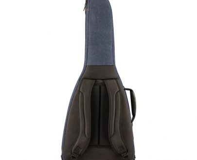 fender FE920