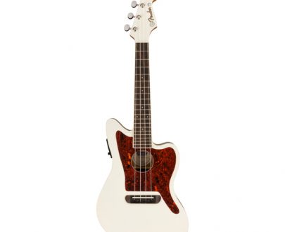 fender fender