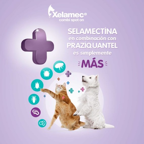 Xelamec Combi Spot Cja 5 Pip X 2 Ml 3