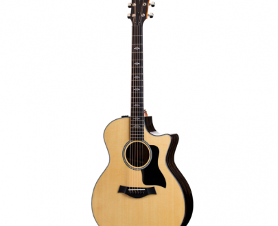 taylor E14CE